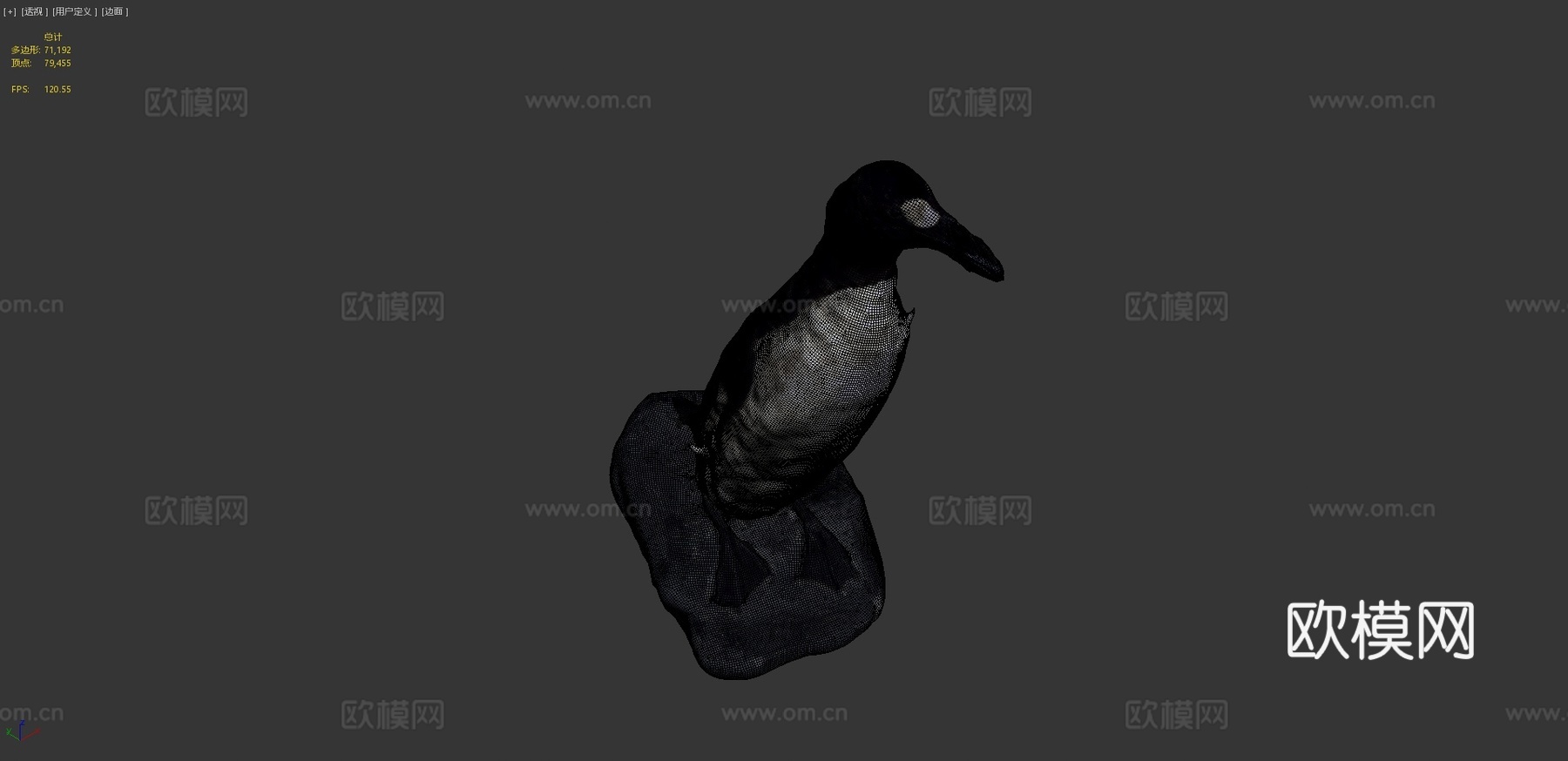 大海雀-大海鸦3d模型