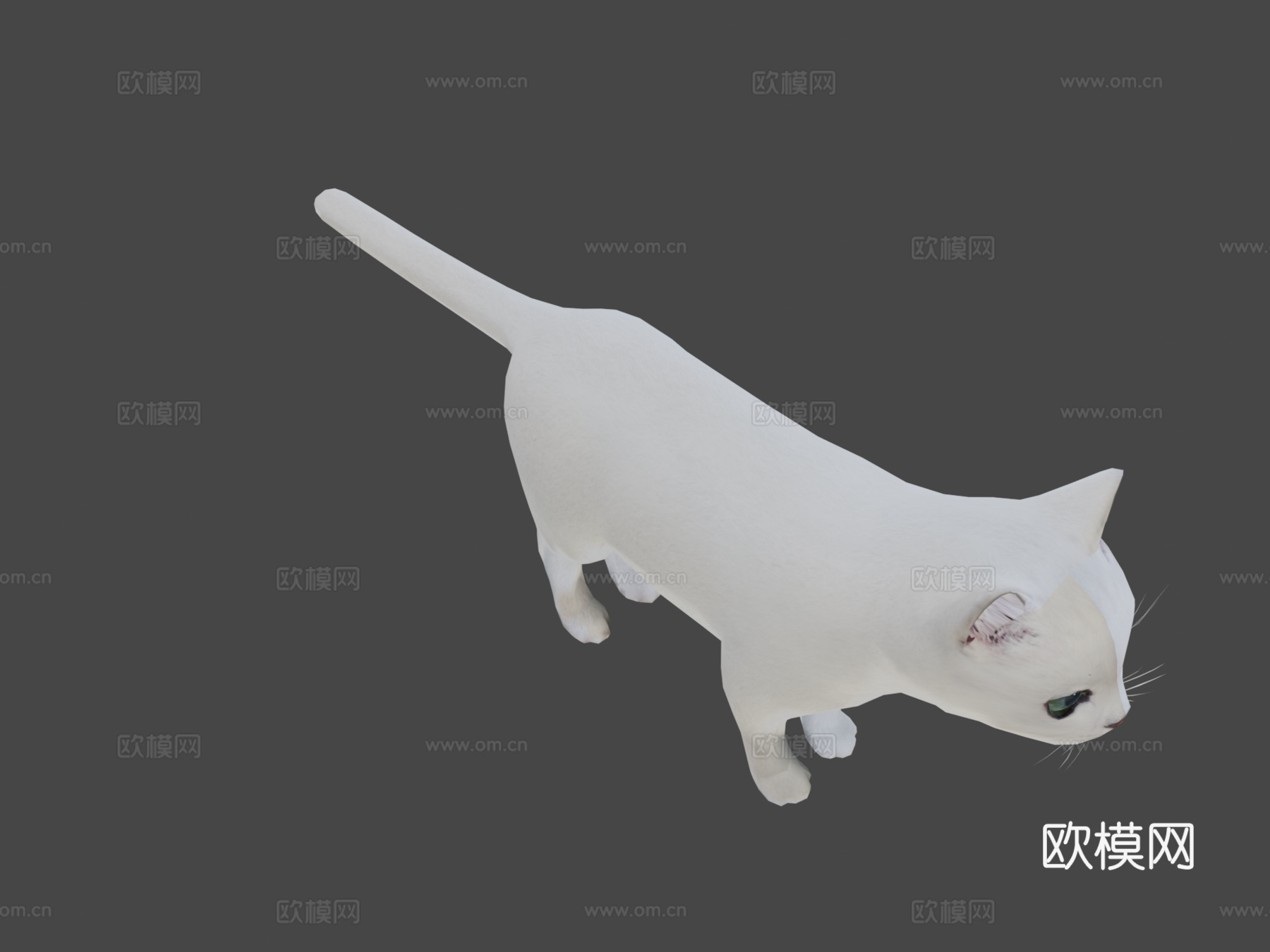 DRT-白猫3d模型