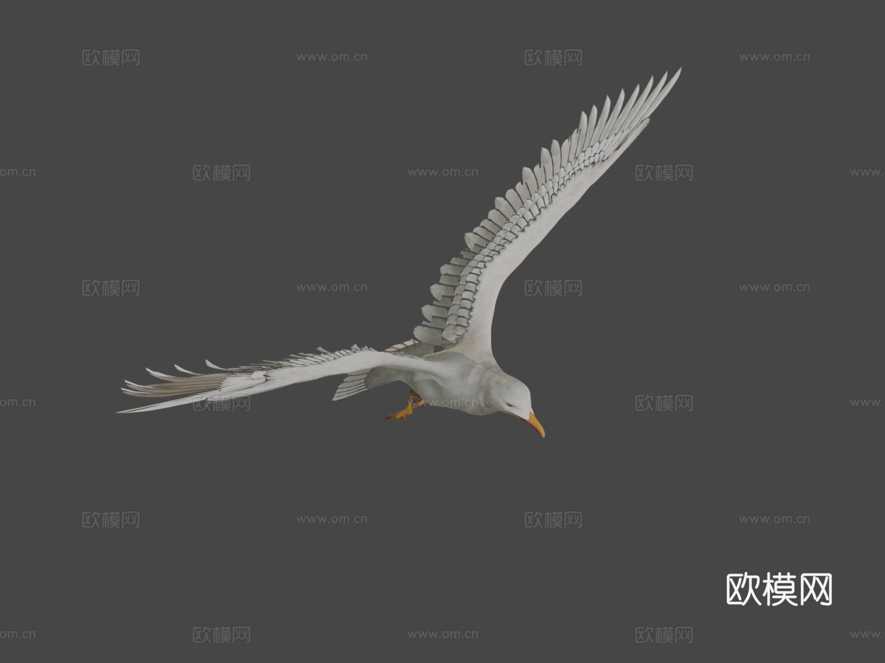 海鸥v13d模型