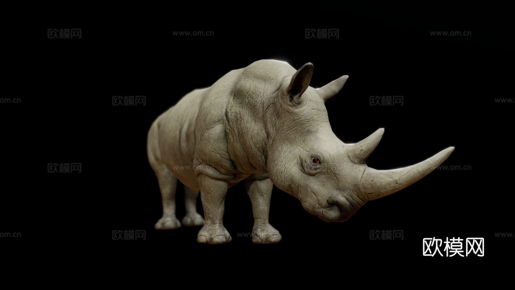 犀牛动画集3d模型