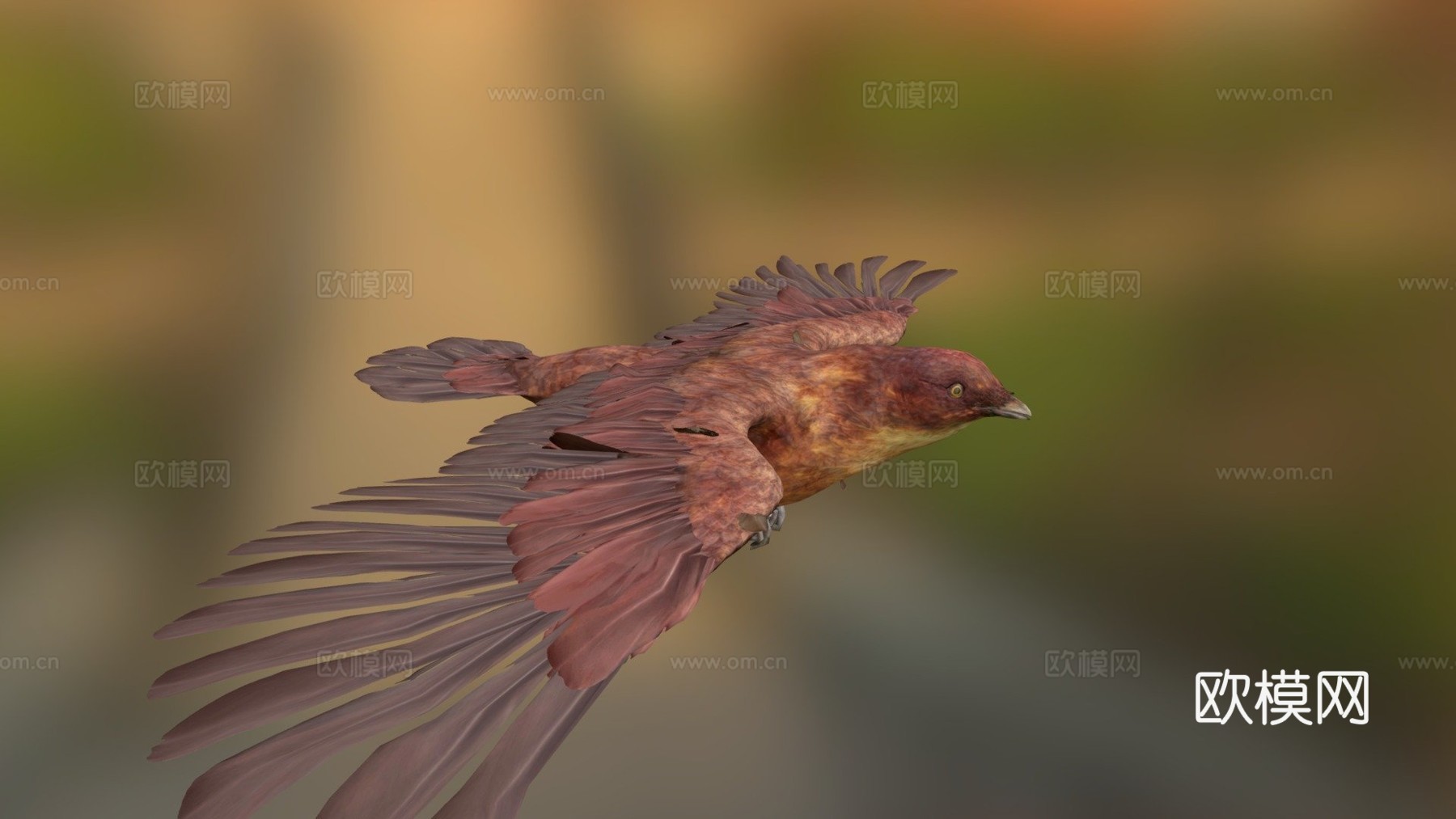 逼真鸟3d模型