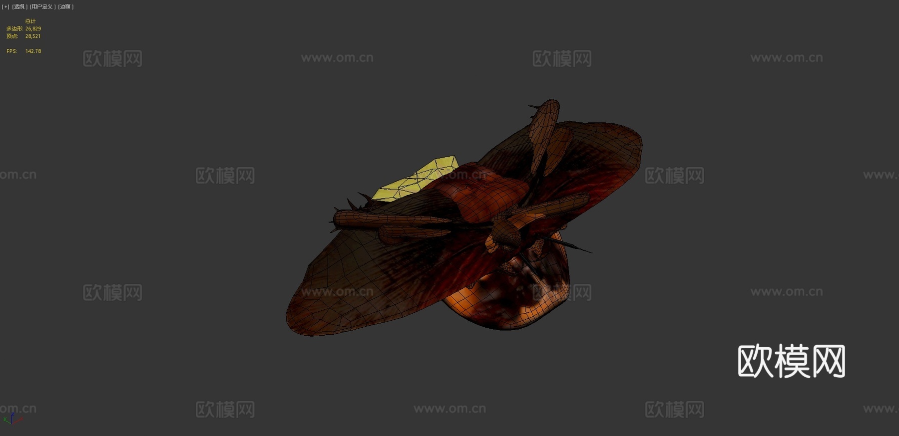 美洲蟑螂3d模型