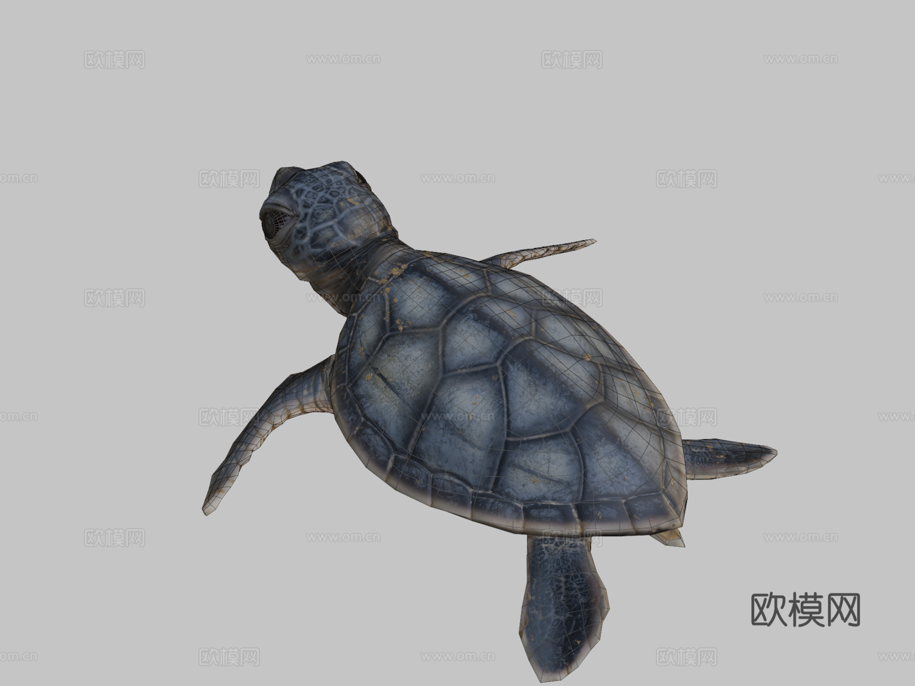 游戏级乌龟3d模型