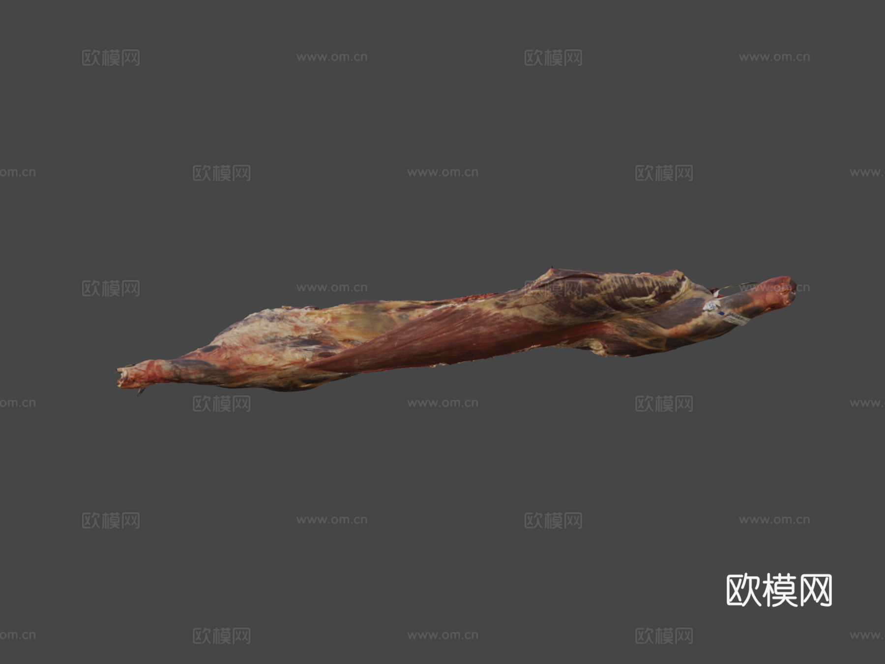 肉胴体3d模型