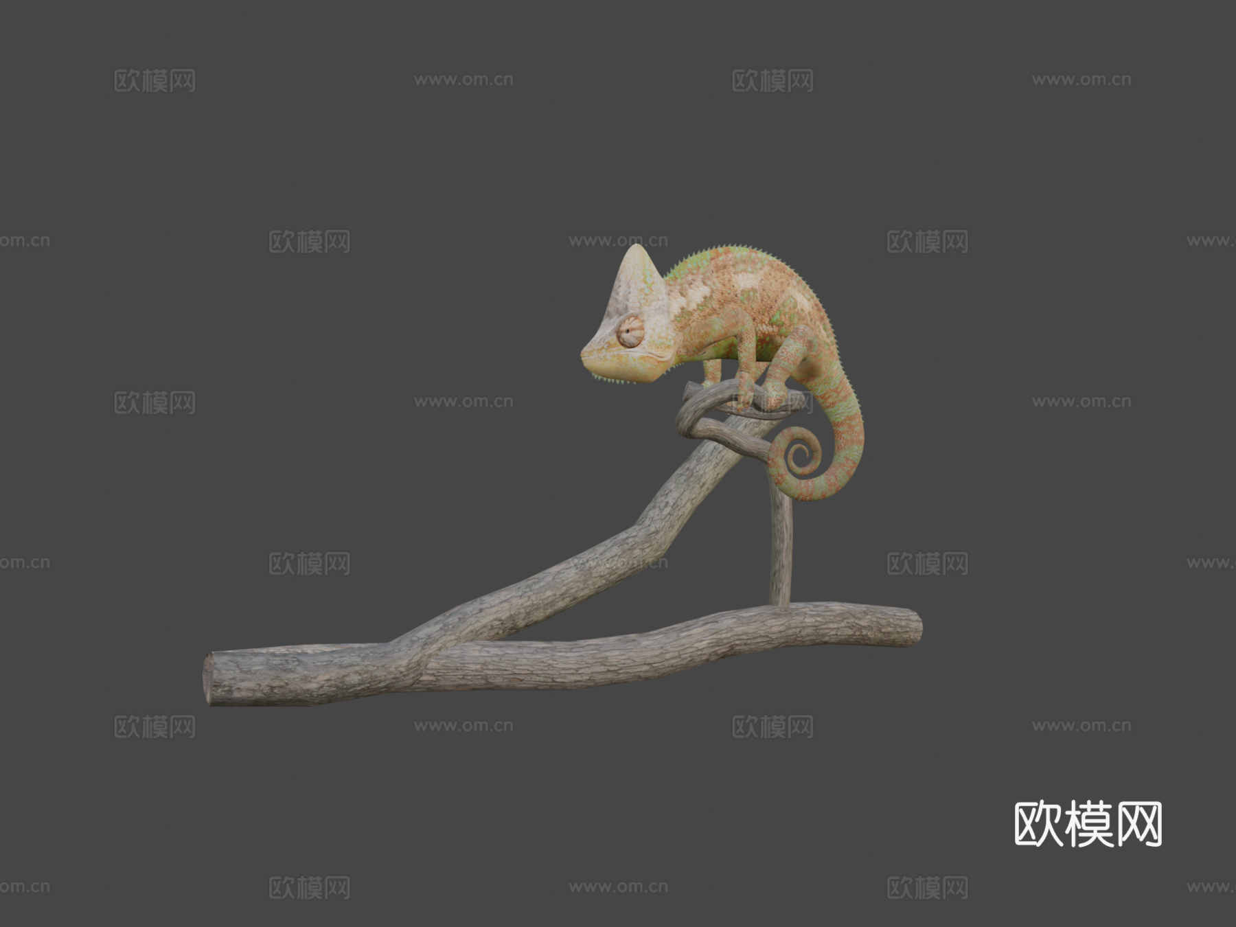变色龙3d模型