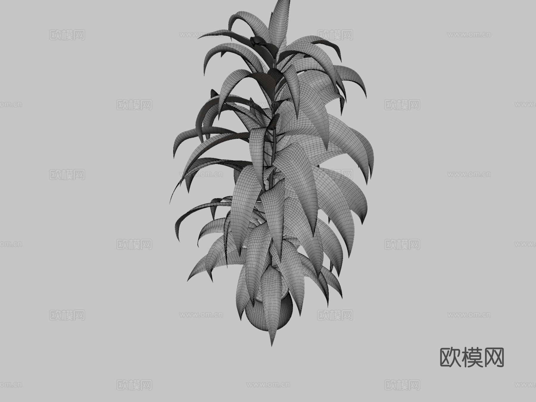 植物3d模型