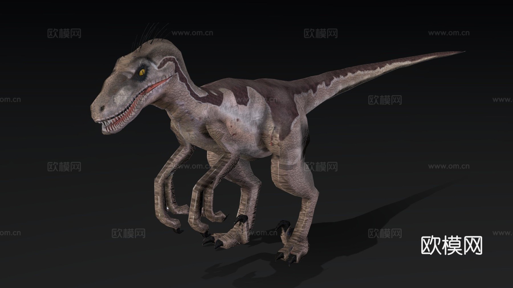迅猛龙[极低多边形]3d模型