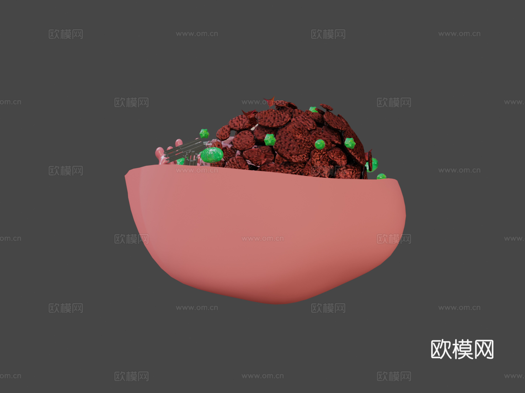 动物细胞3d模型