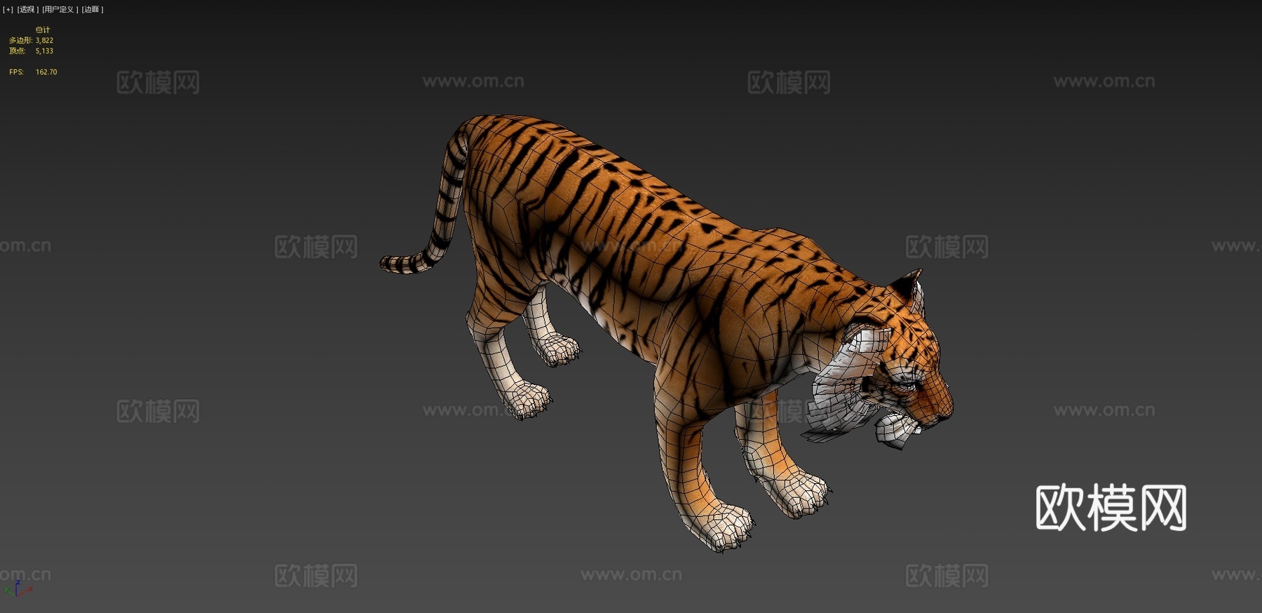 老虎3d模型