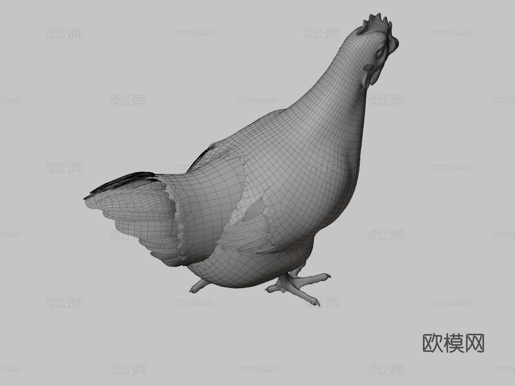 鸡3d模型