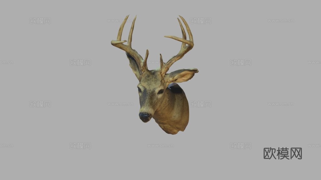 鹿首3d模型