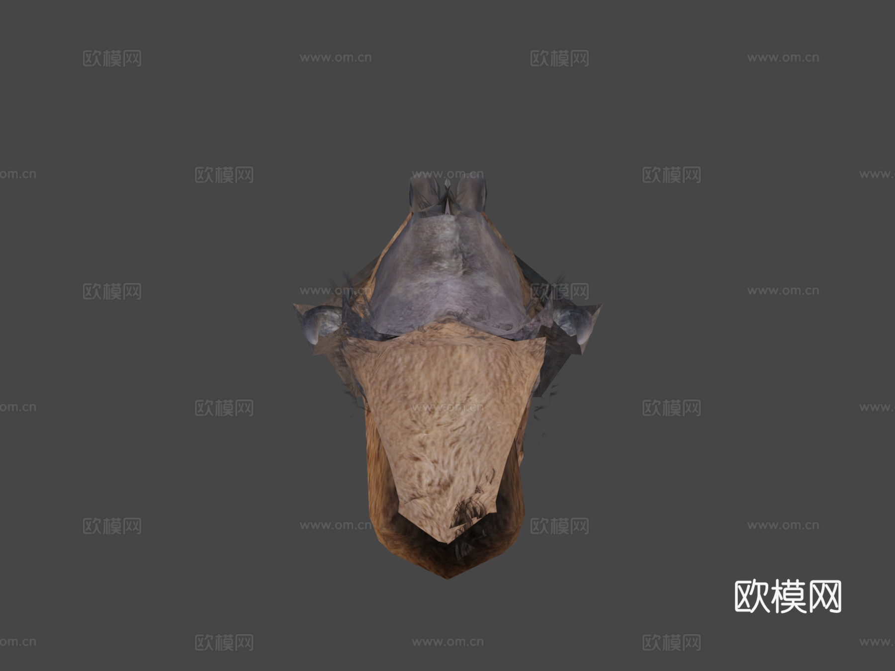 动物王国-美洲野牛(雄性)3d模型