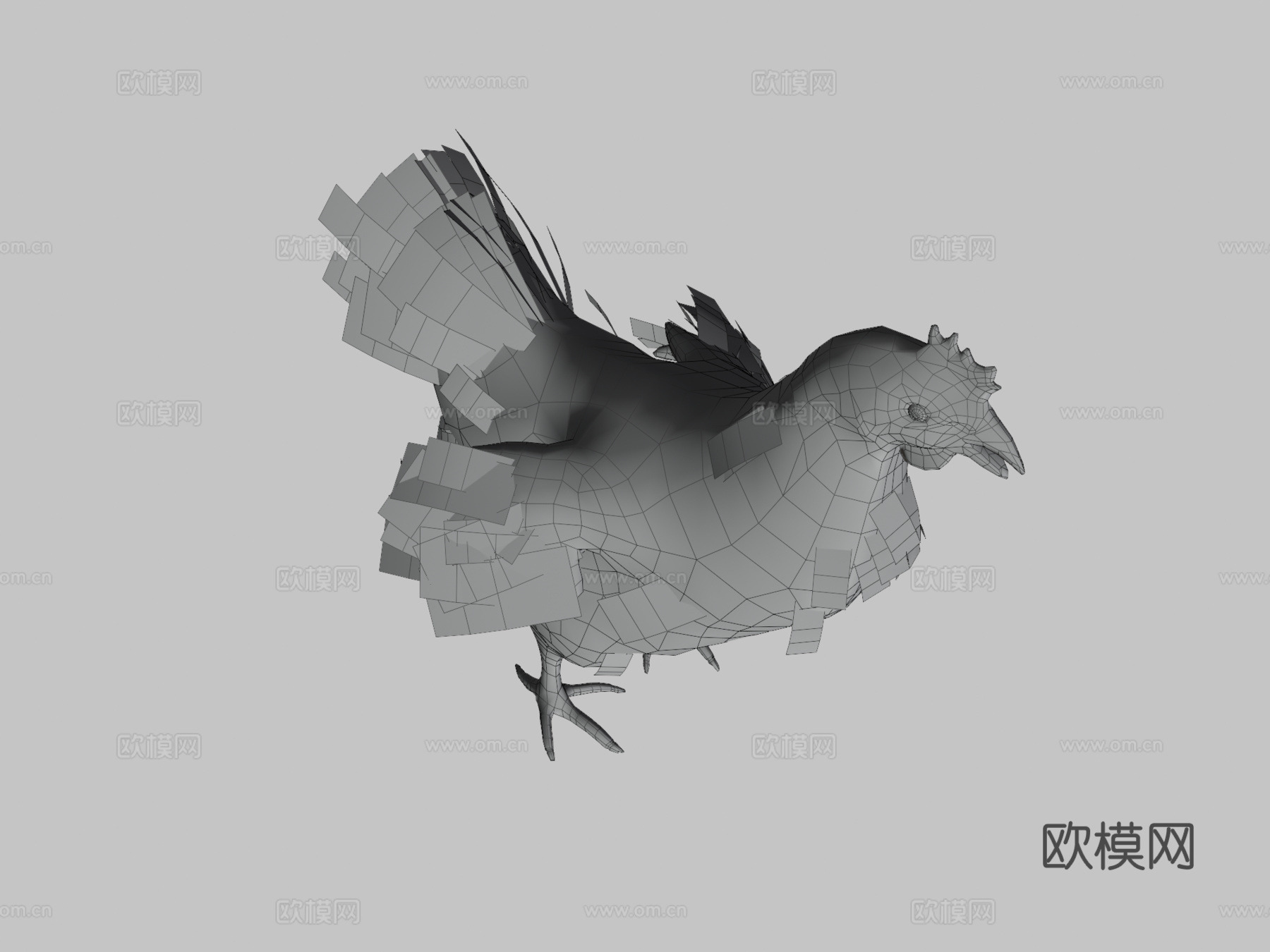 鸡3d模型
