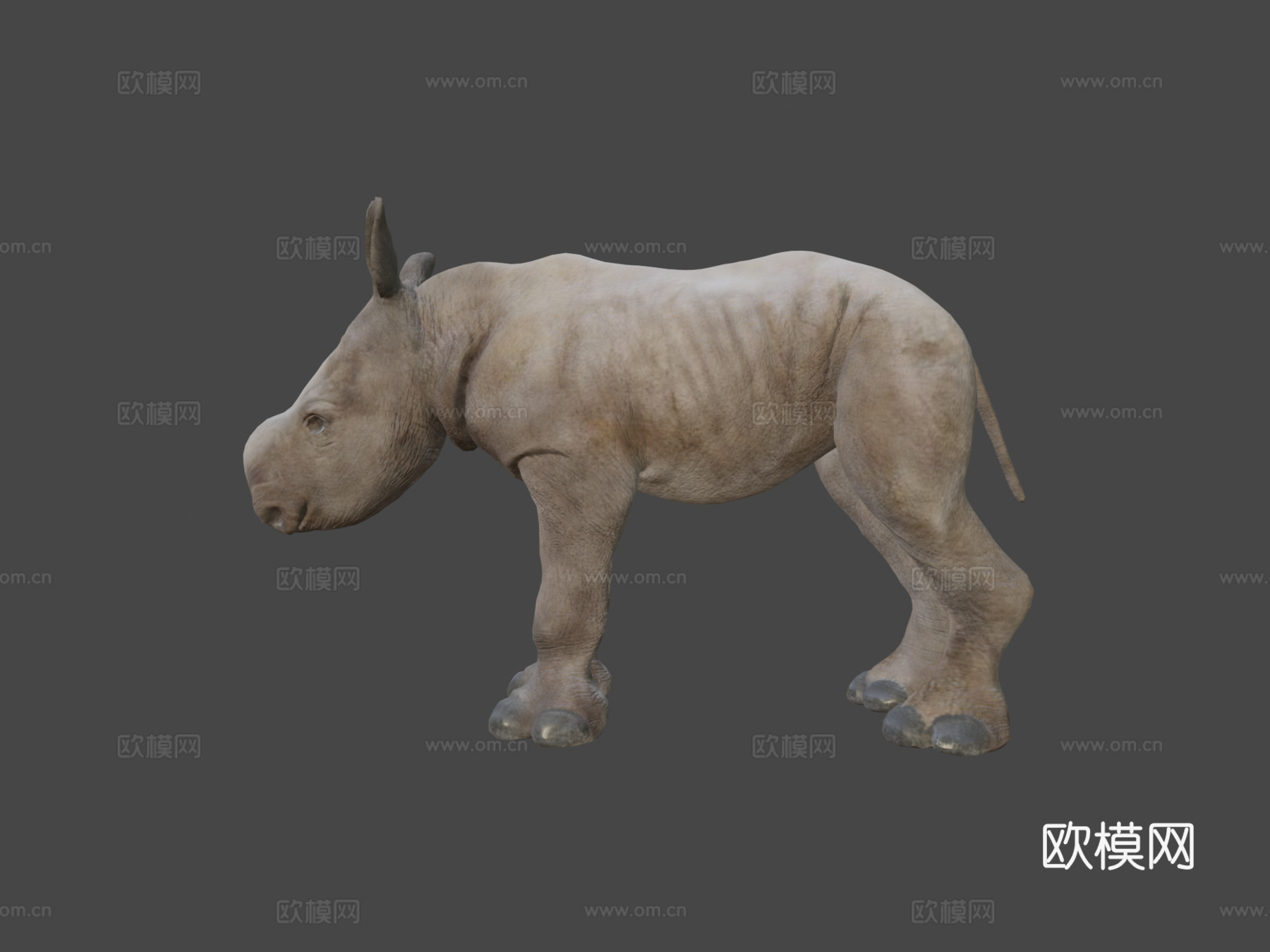 白犀牛宝宝静态姿势三角化3d模型