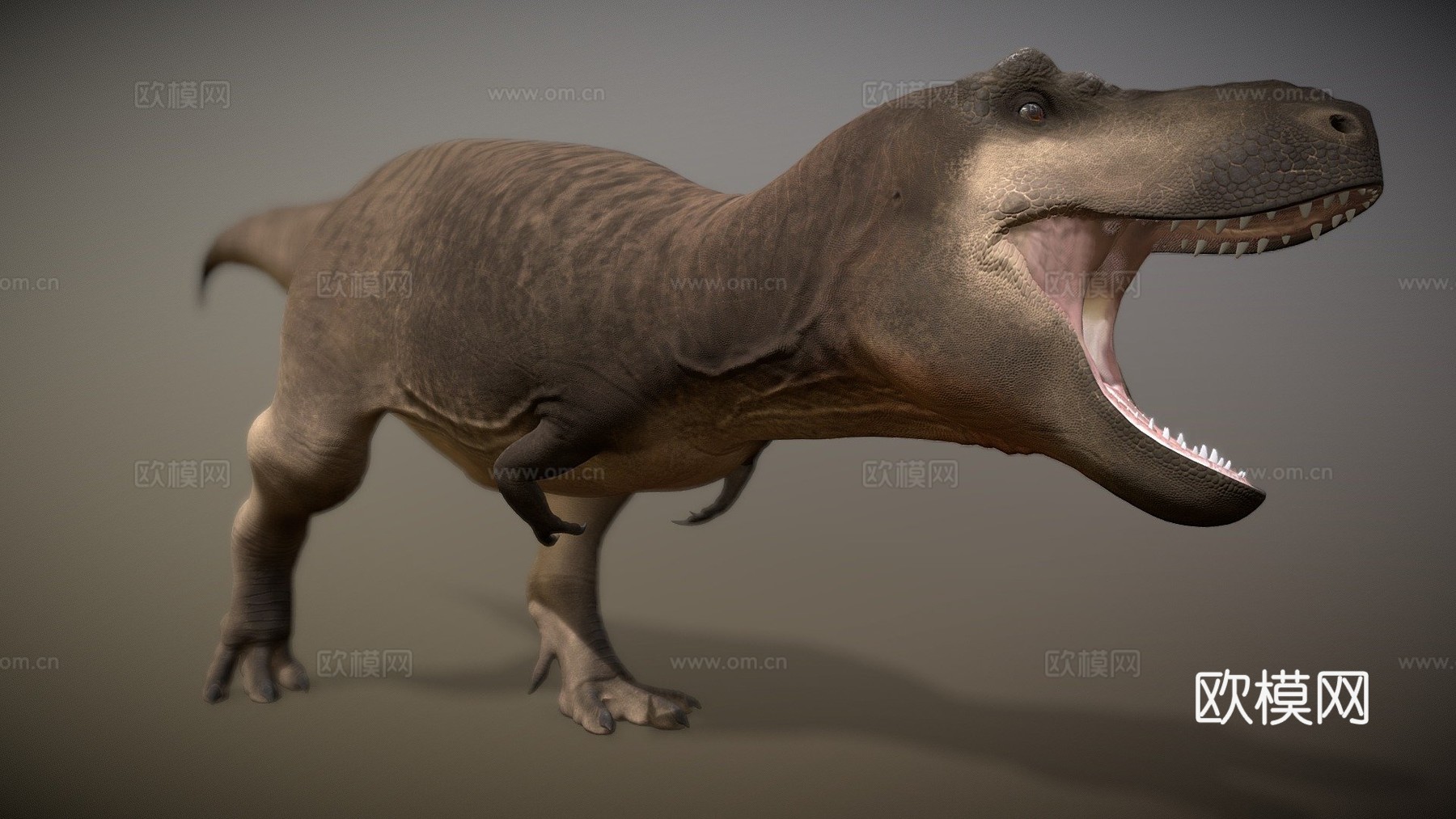 霸王龙3d模型