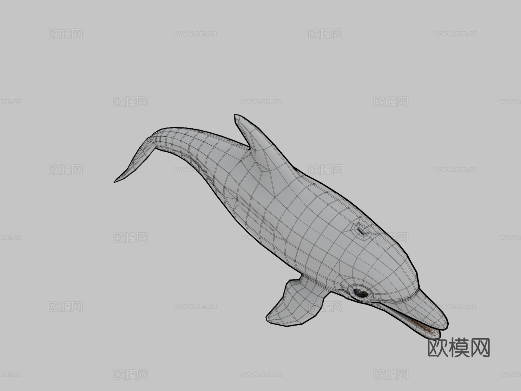 海豚3d模型