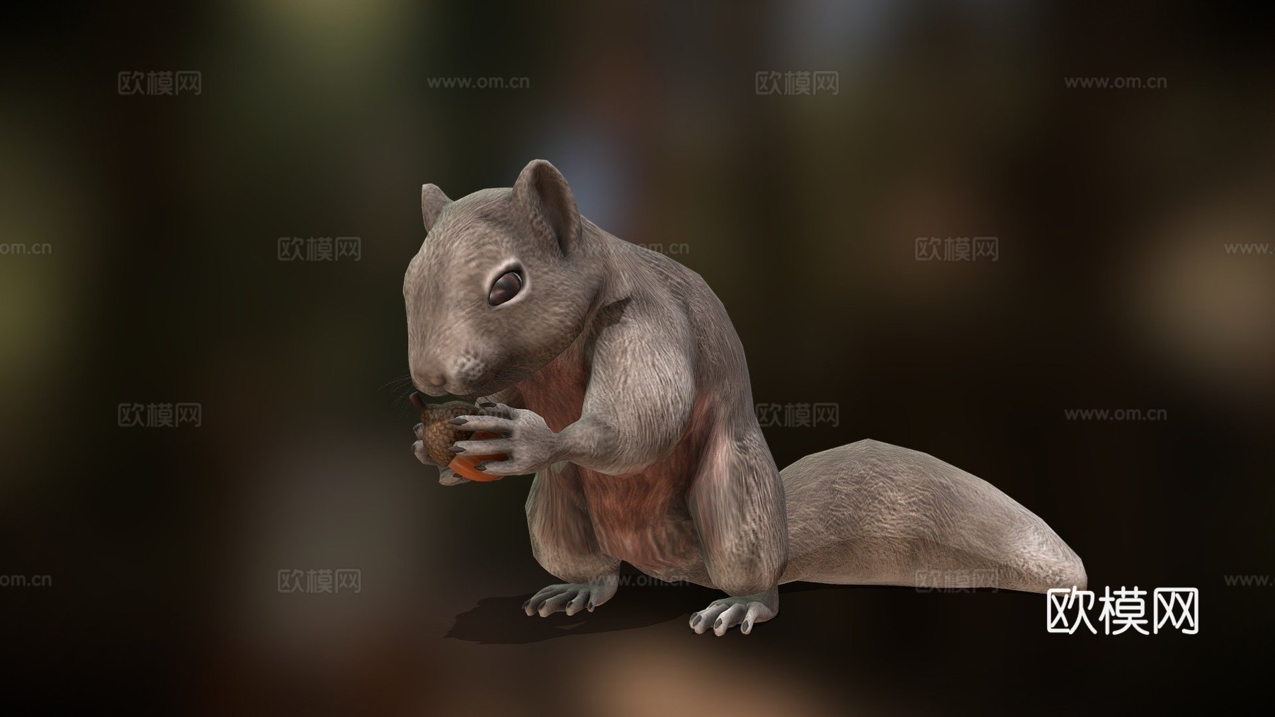 松鼠动画3d模型