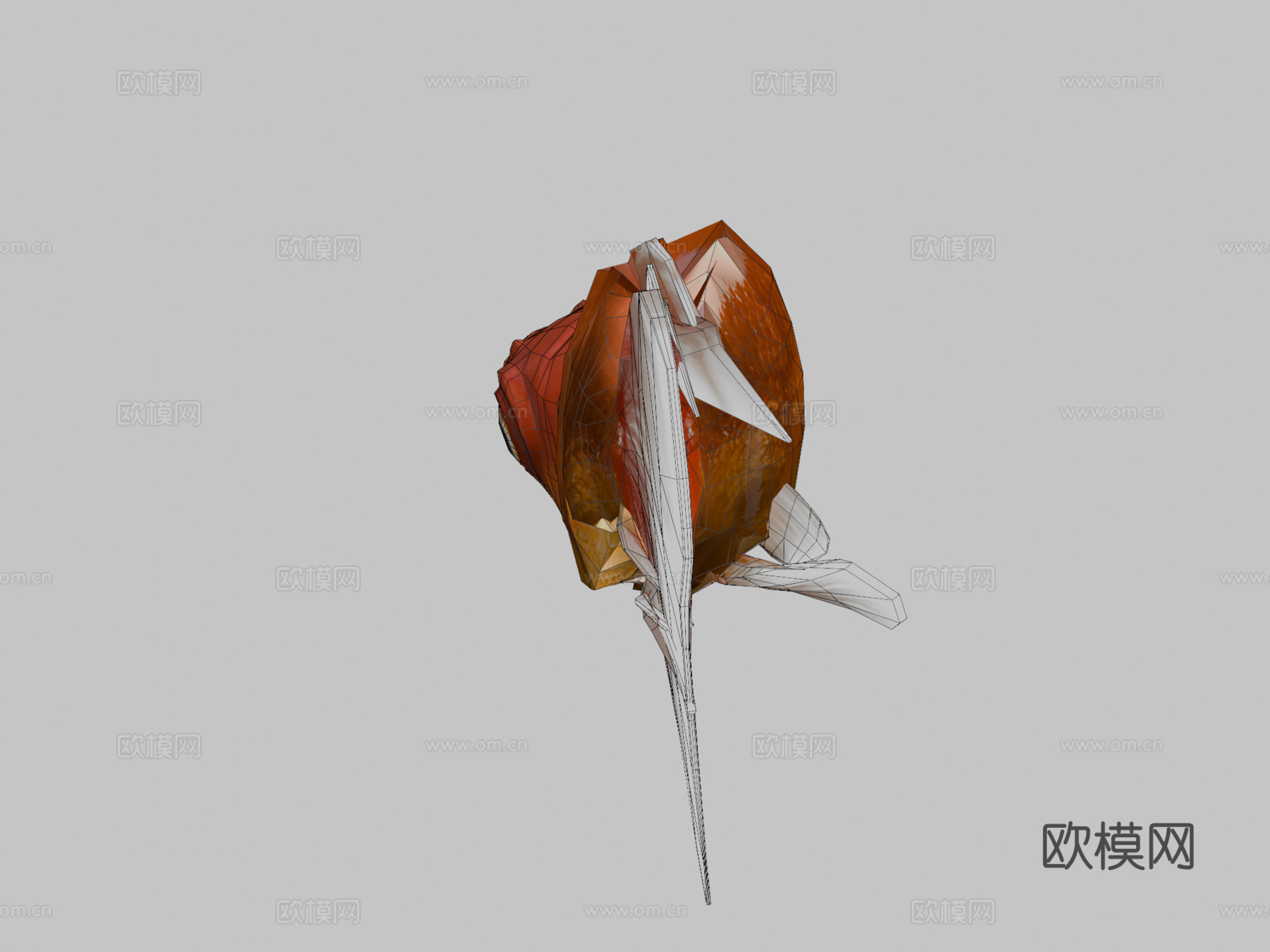 金鱼3D，低多边形3d模型