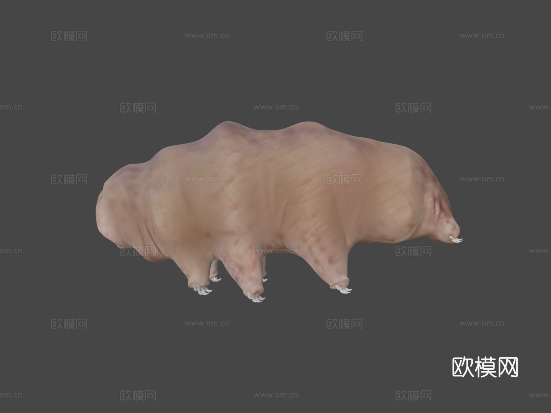 水熊虫3d模型