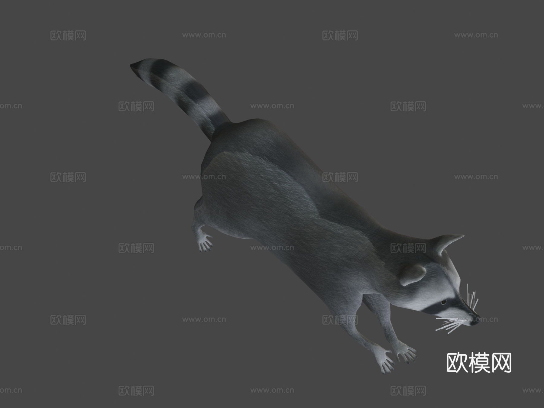 奔跑浣熊动画3d模型
