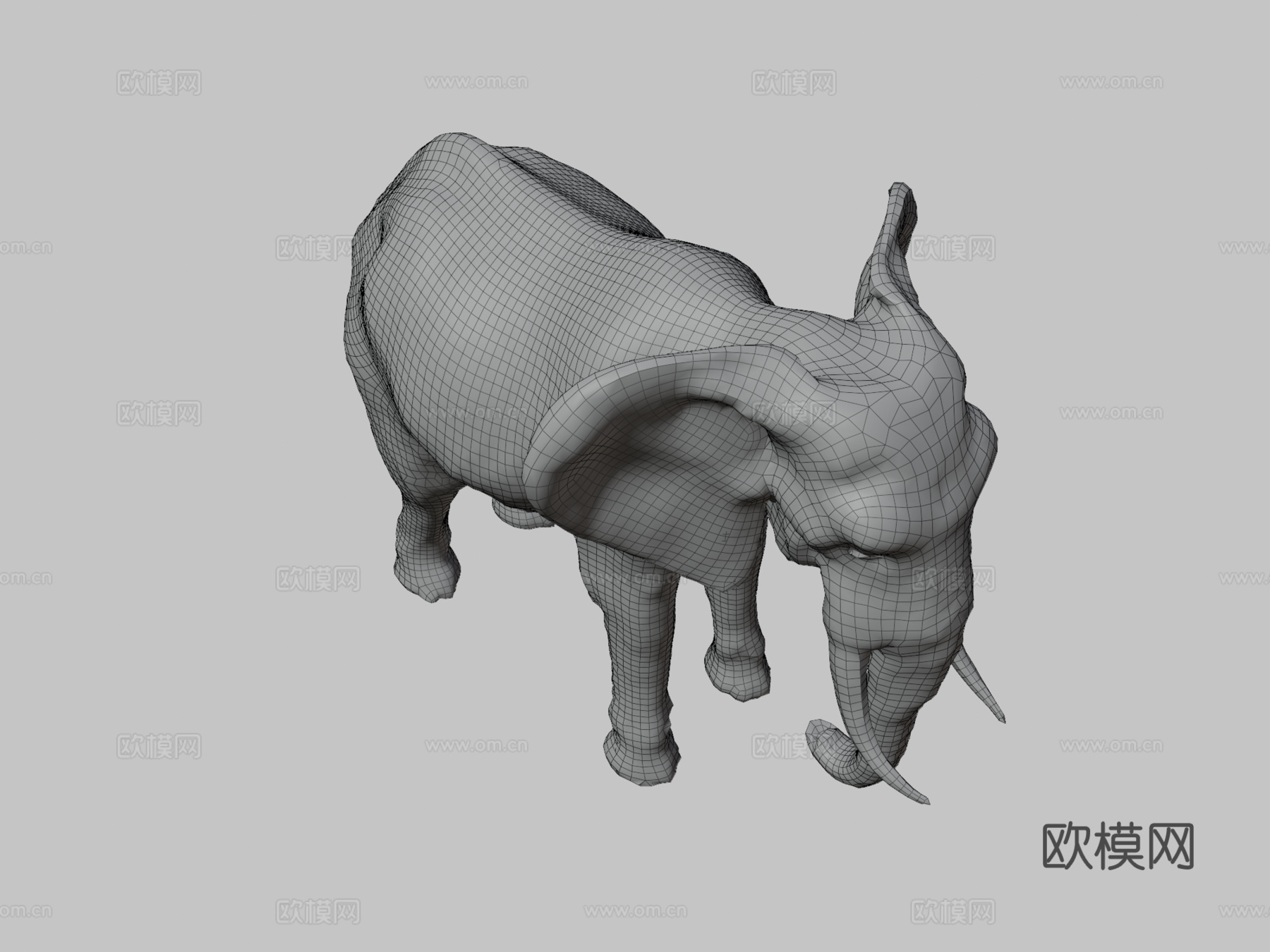 非洲象骨骼3d模型