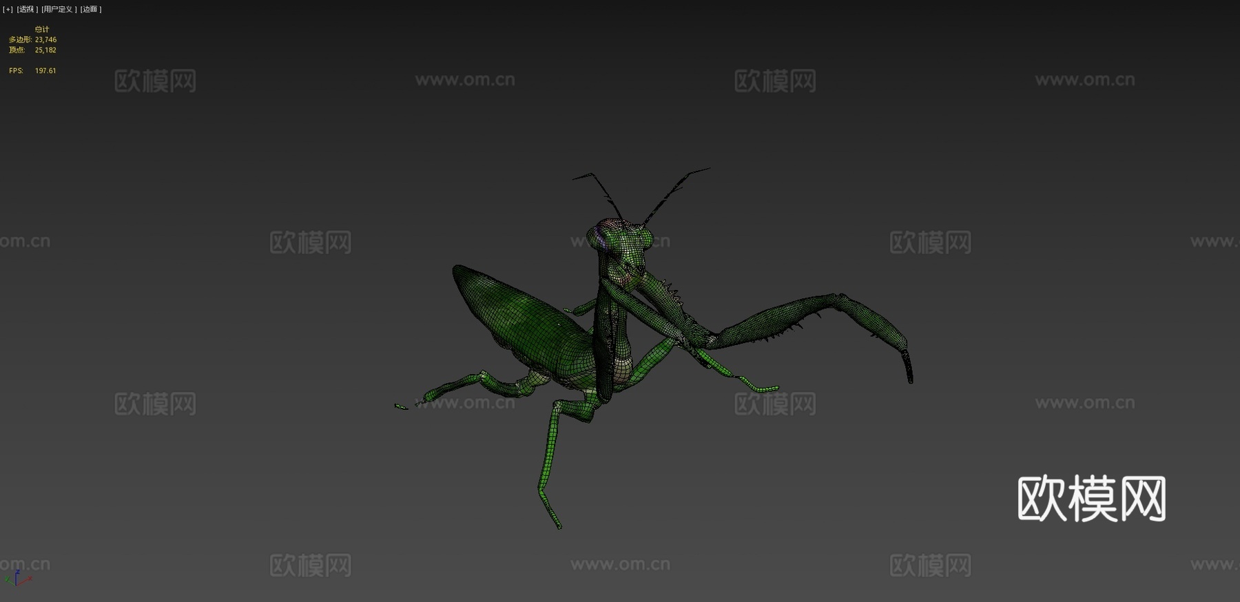螳螂3d模型