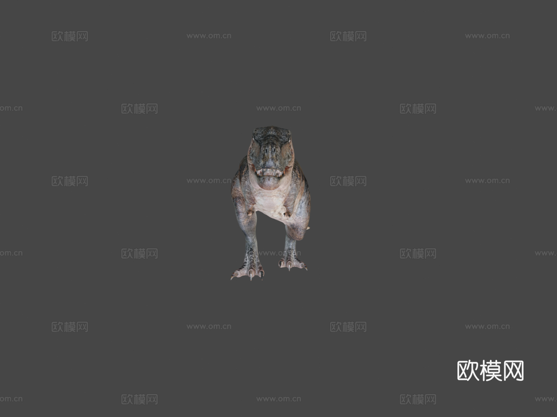 可动霸王龙骨架3d模型