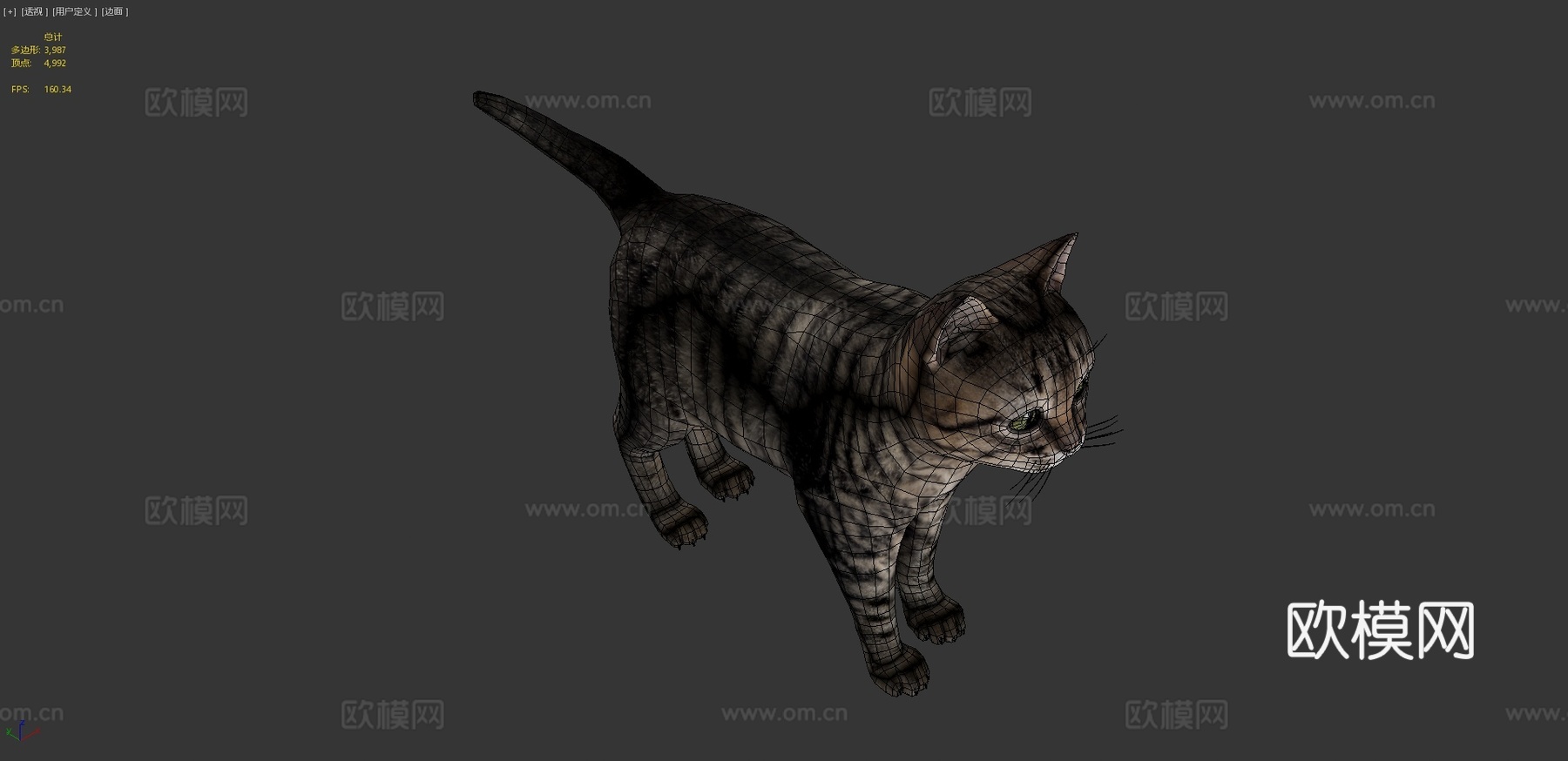 小虎猫3d模型