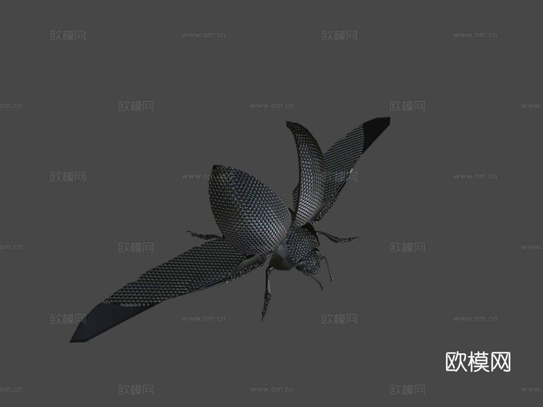 动画瓢虫3d模型