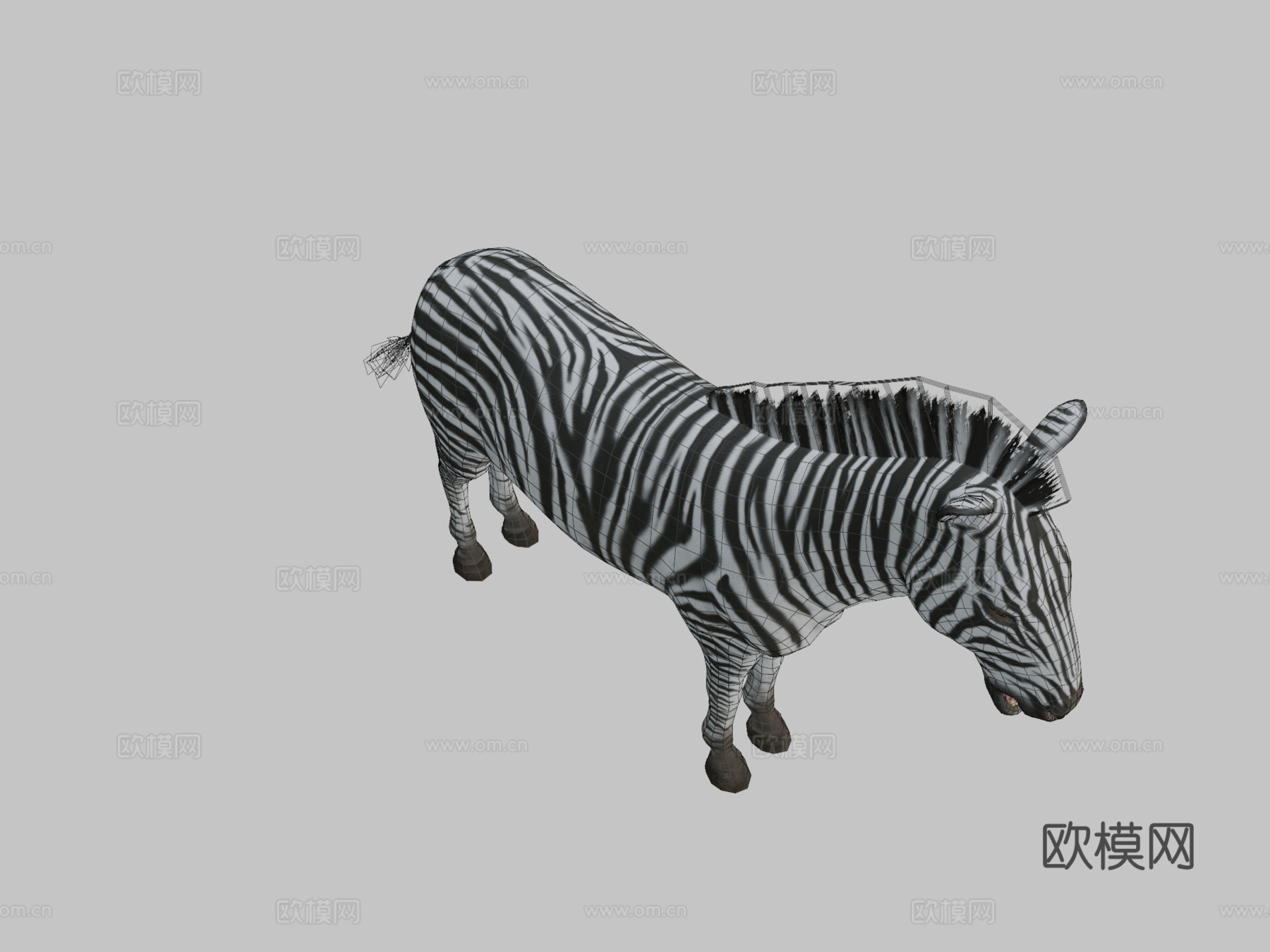 斑马动画3d模型