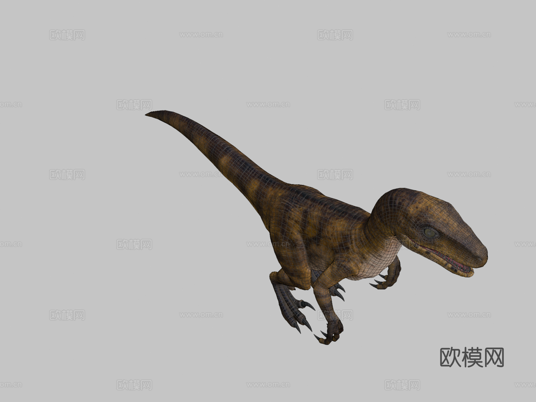 迅猛龙3d模型