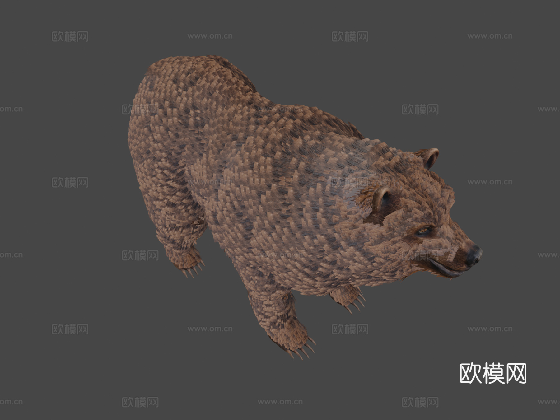 毛绒熊3d模型