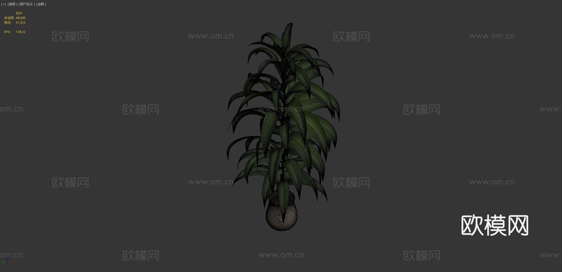 植物3d模型