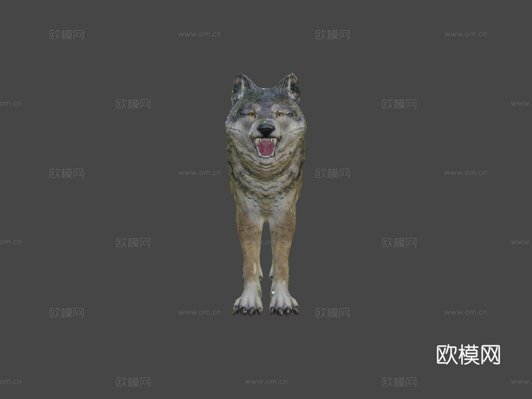 狼3d模型