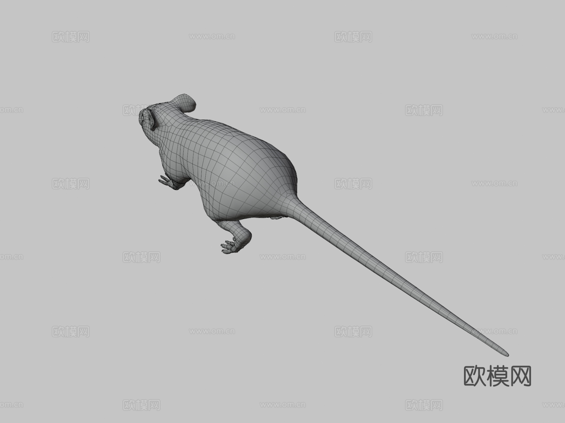 老鼠3d模型