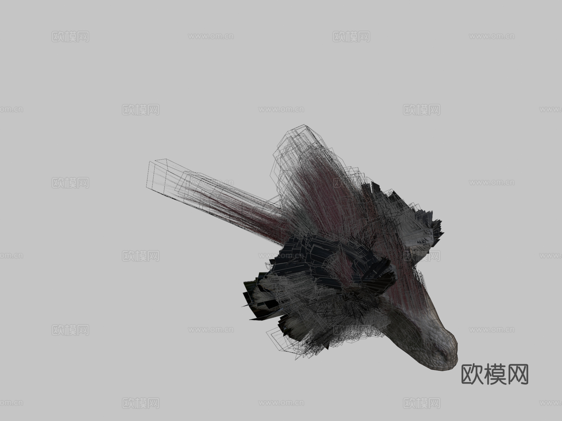 迅猛龙3d模型
