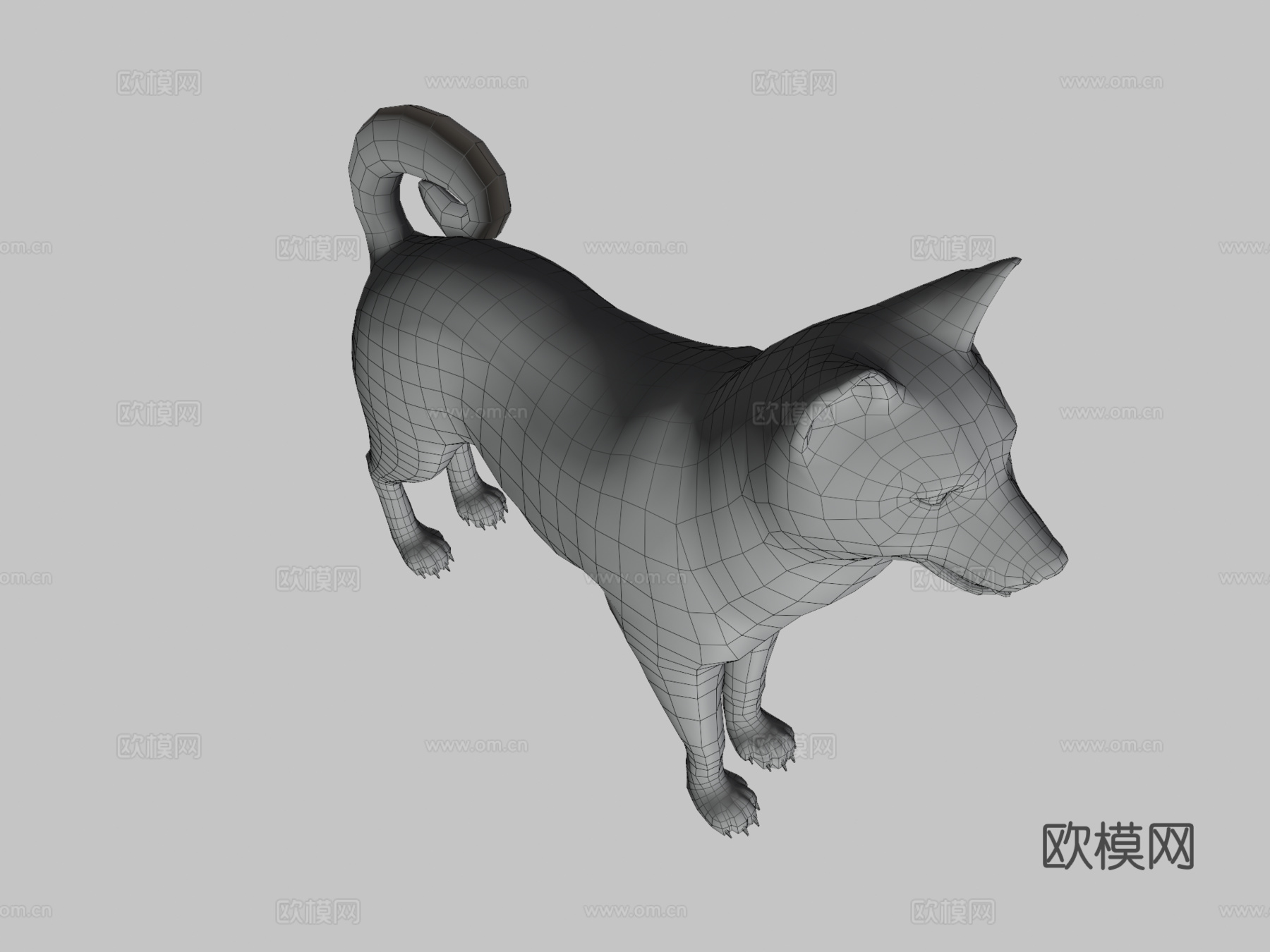 柴犬3d模型