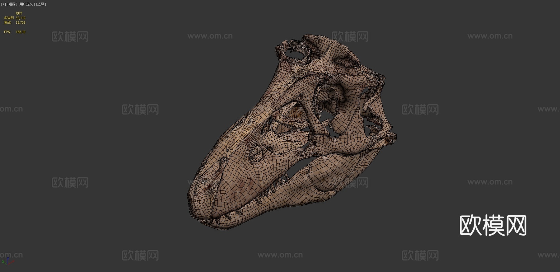 史密森尼温克尔霸王龙校正版3d模型