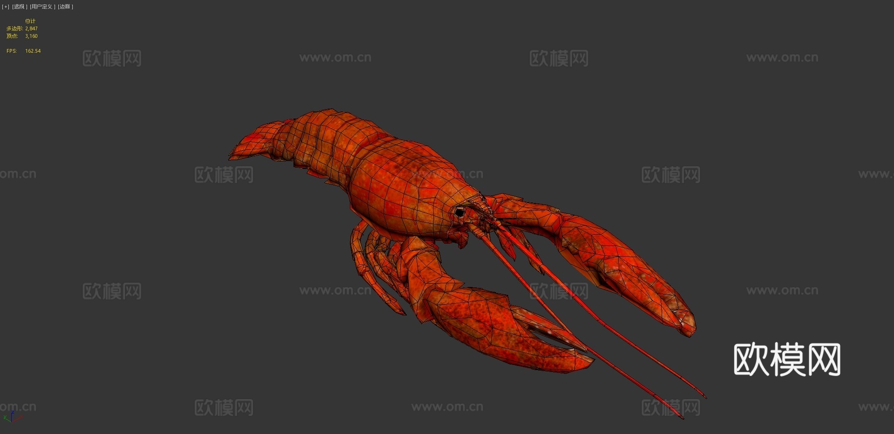 龙虾3d模型