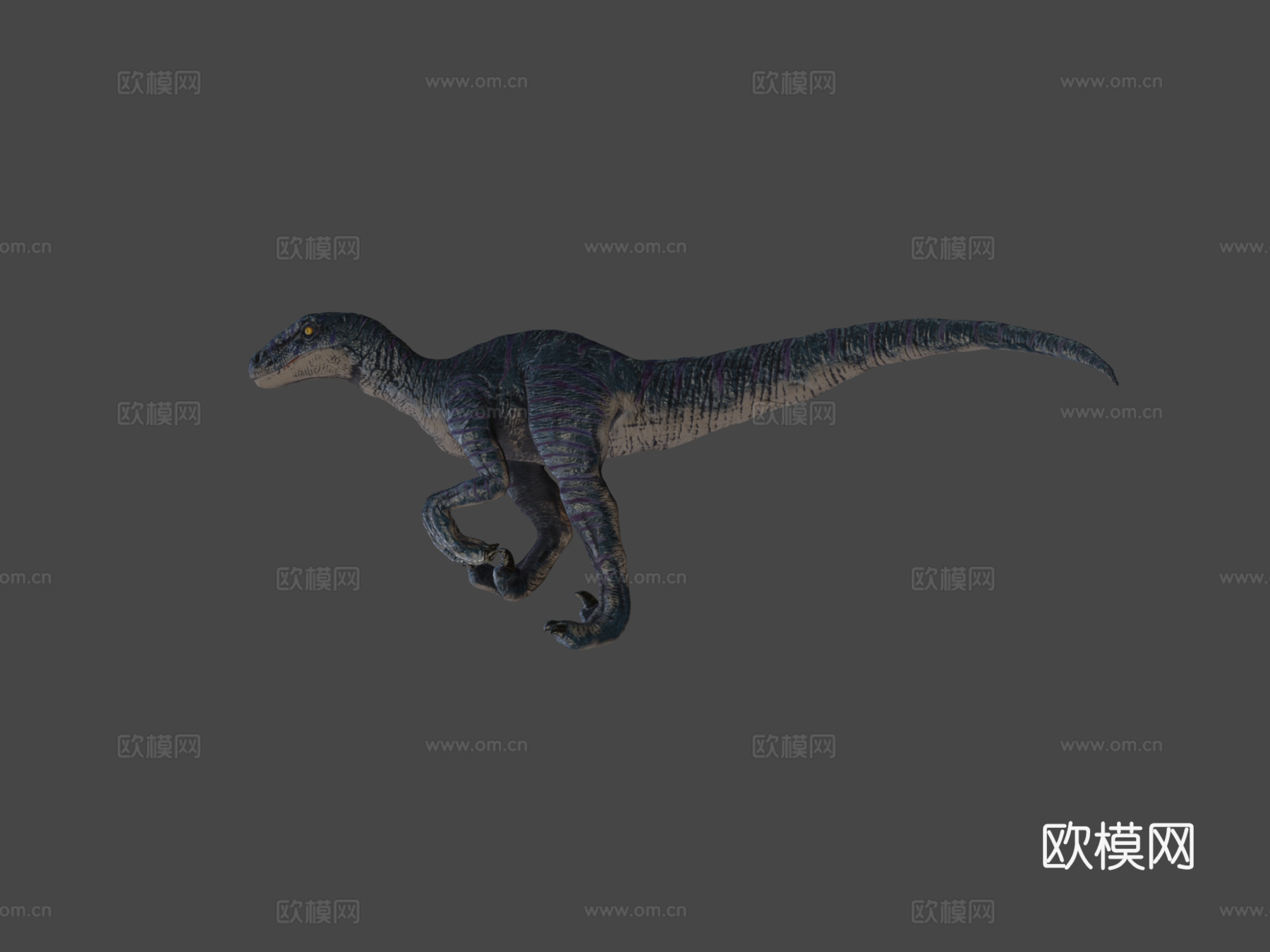 迅猛龙3d模型