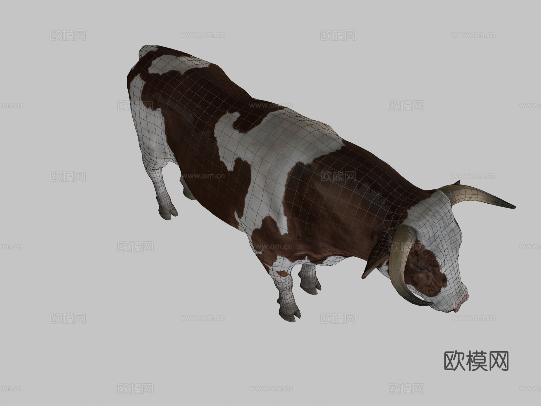 公牛动画3d模型