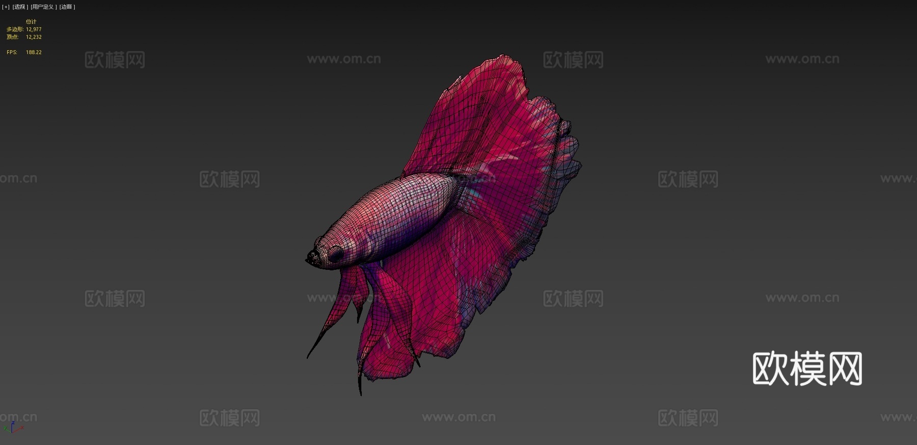 热带鱼23d模型