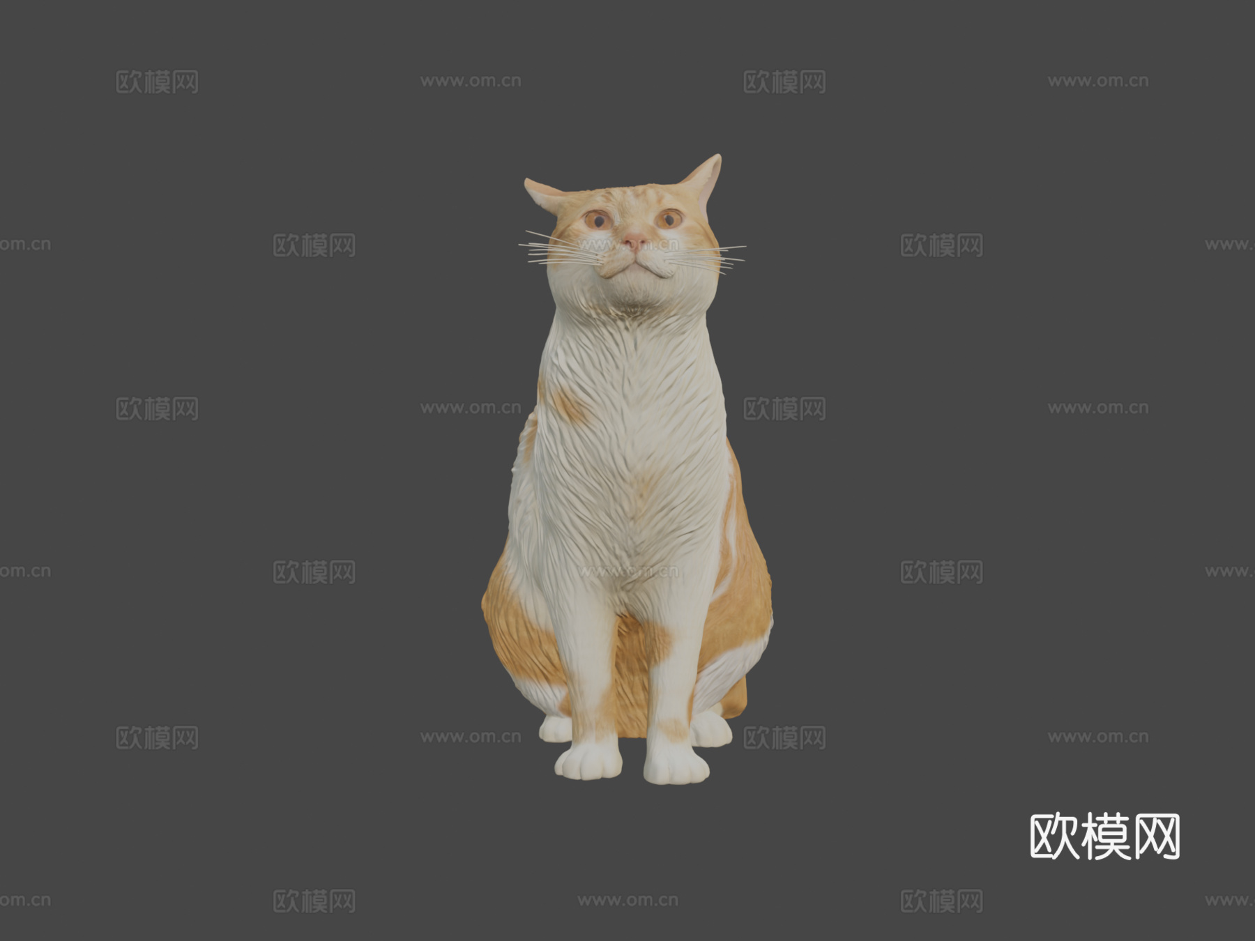 红猫07号3d模型