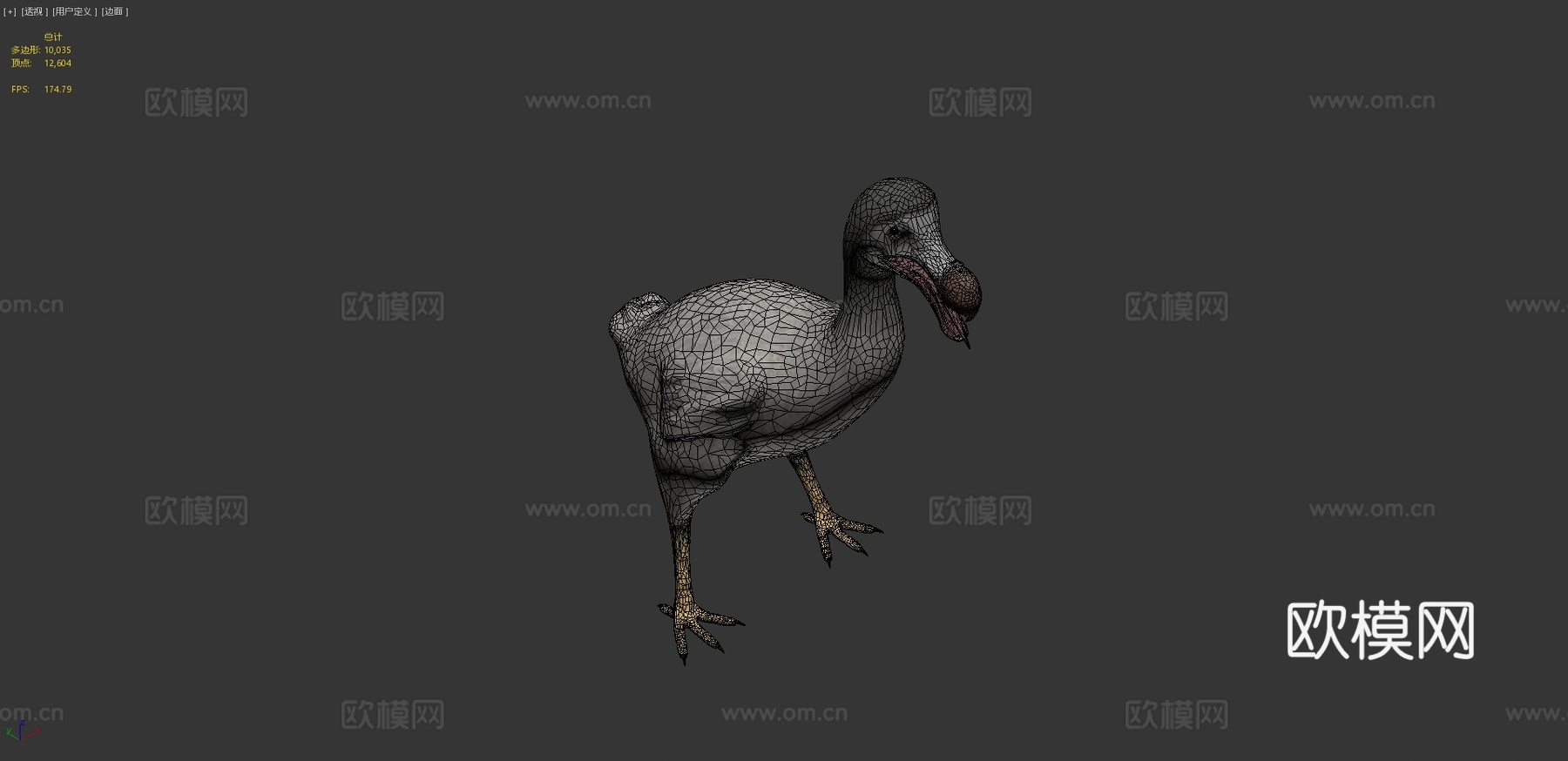 渡渡鸟[灭绝鸟类]3d模型