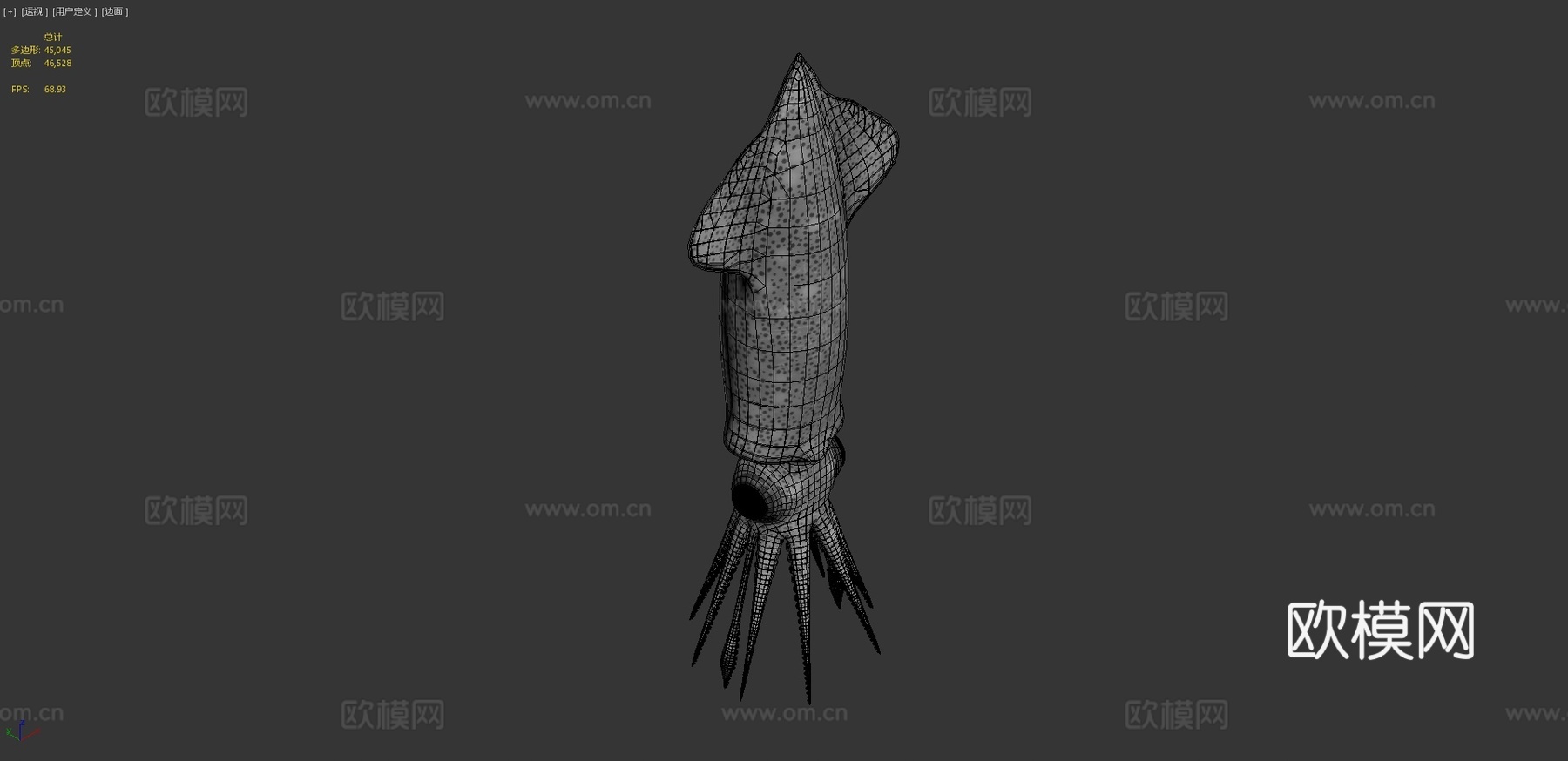 萤火鱿鱼3d模型