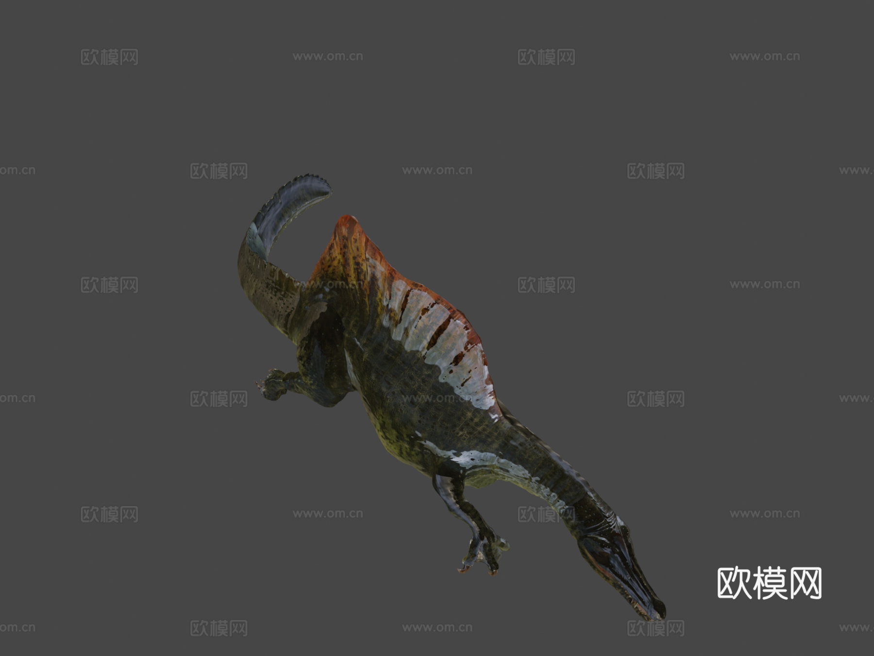 棘龙3d模型