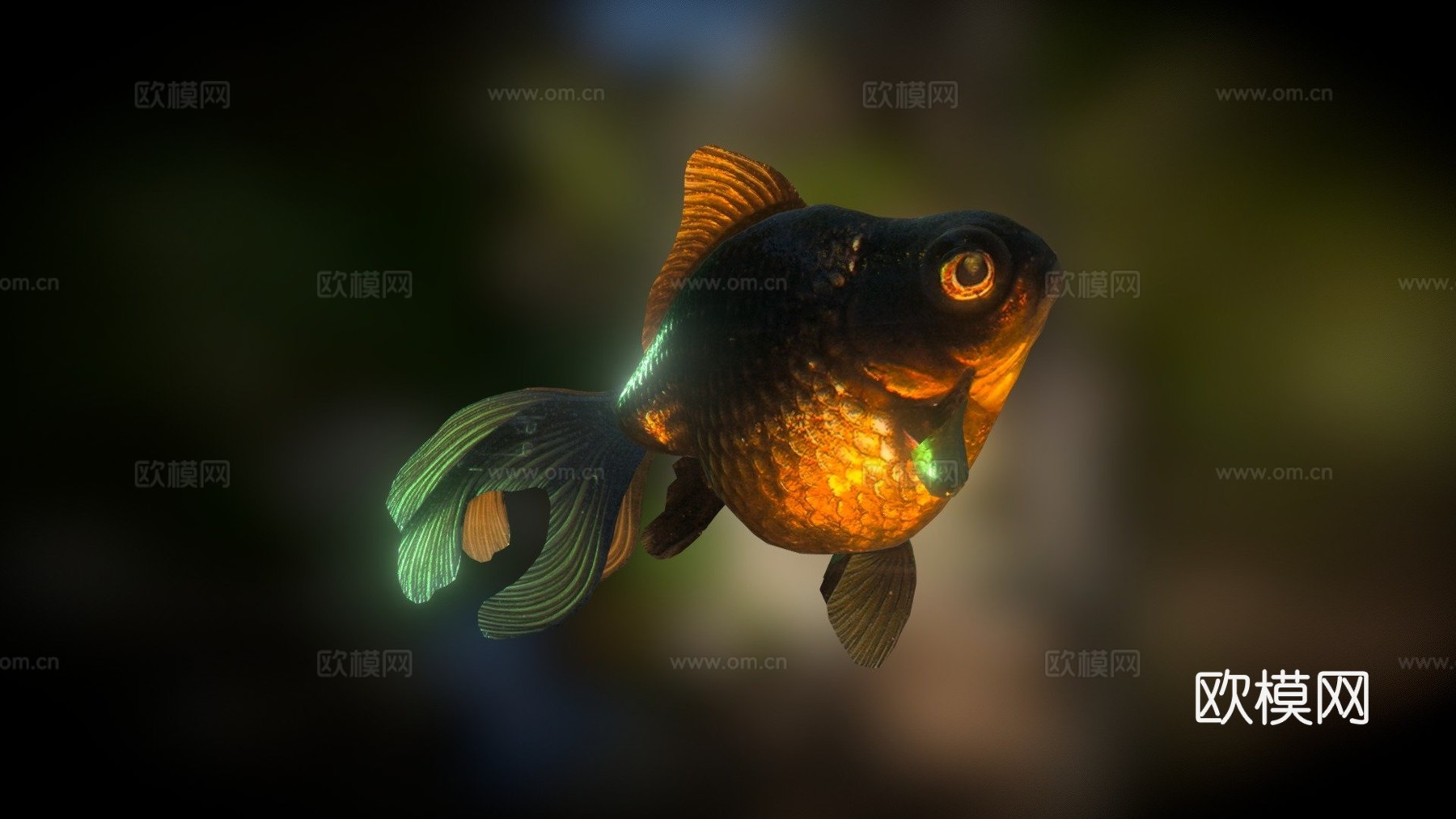 黑沼金鱼(Smoothie-3D上传)3d模型