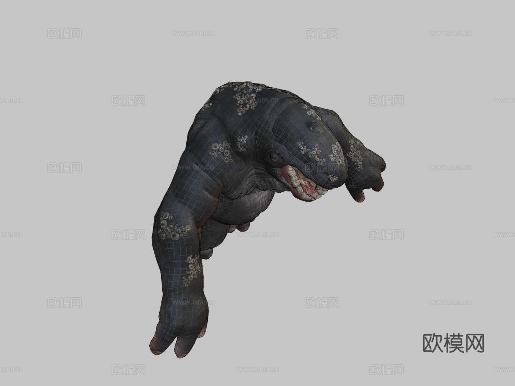 乌尔萨塞图斯动画3d模型