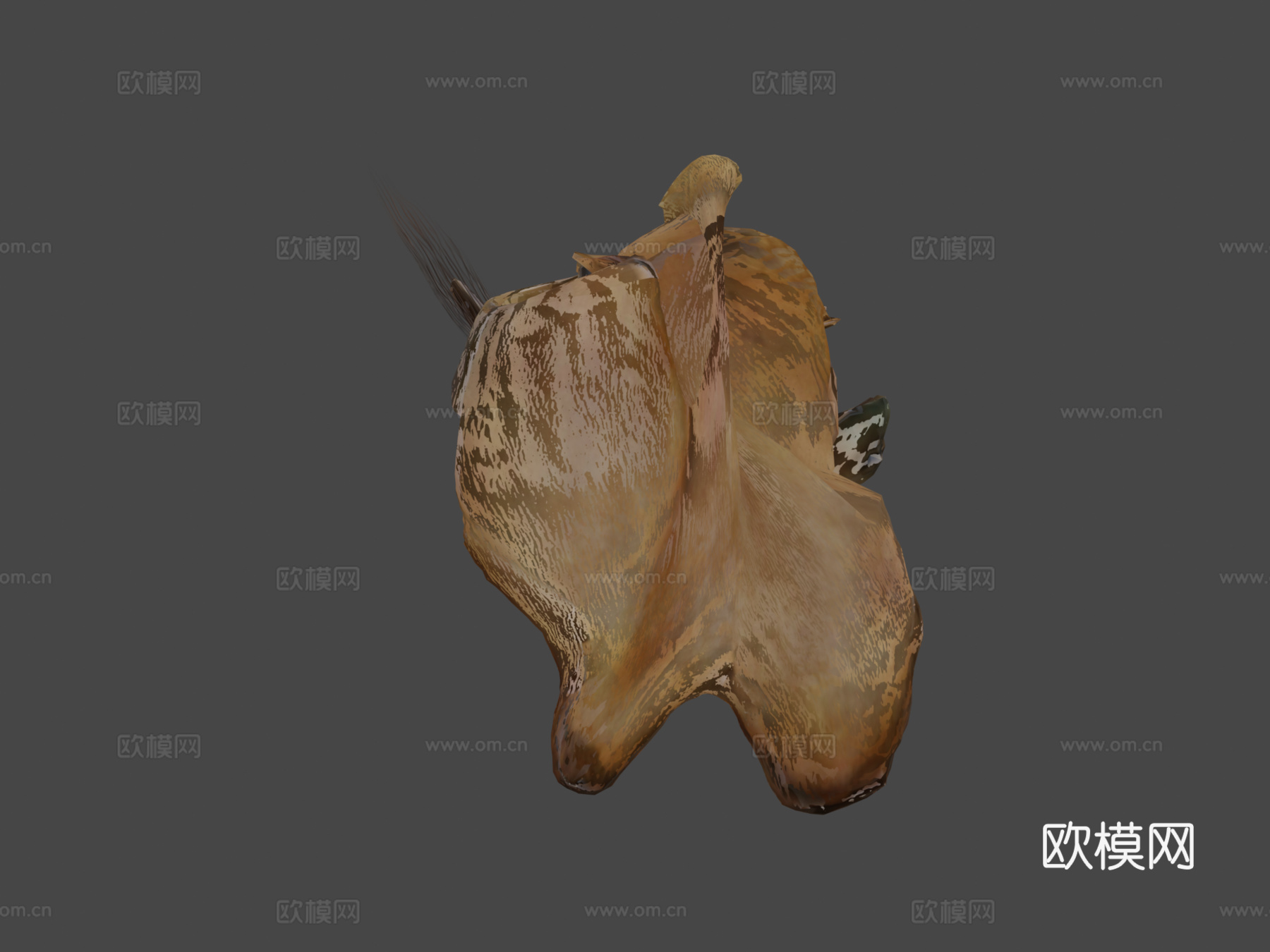 骆驼动画3d模型