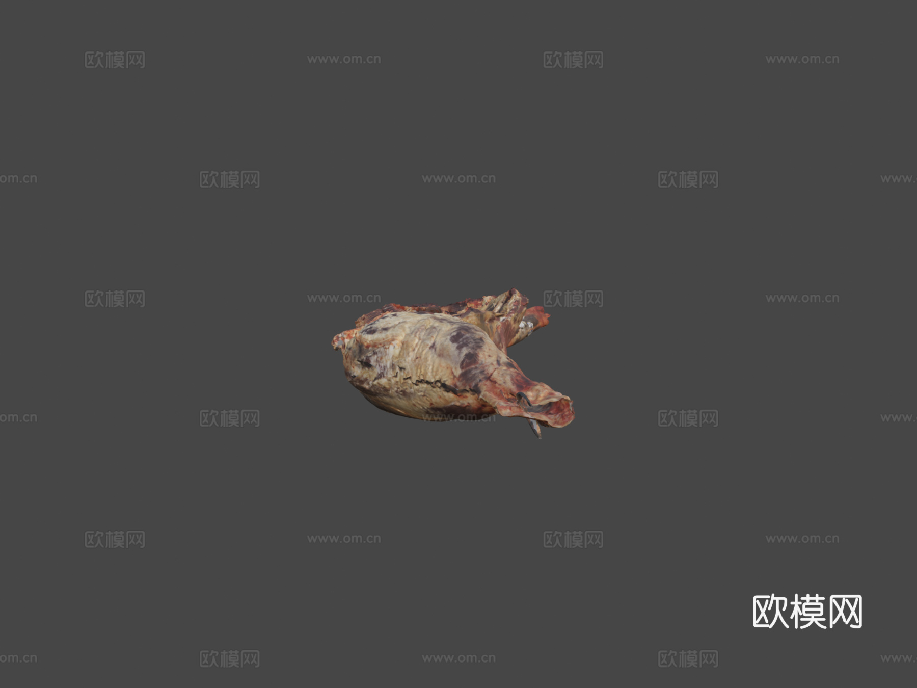 肉胴体3d模型